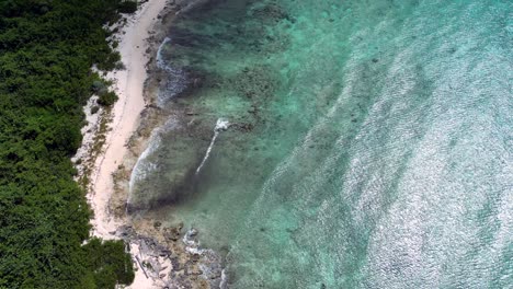 Drone-footage-flying-along-a-beach-as-waves-in-a-turquoise-ocean-crash-over-a-coral-reef-in-the-Caribbean-with-native-forest-and-palm-trees-stretching-along-the-beach