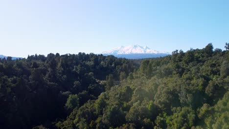 Ascending-from-a-forest-to-reveal-Mount-Ruapehu,-Tongariro-National-Park,-New-Zealand