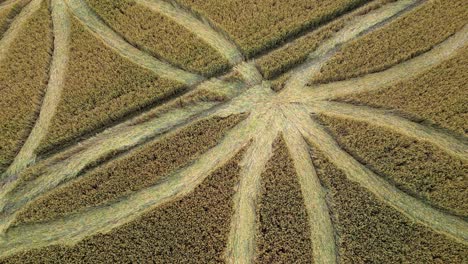Close-up-orbiting-top-view,-crop-circle-in-field,-Warminster,-United-Kingdom