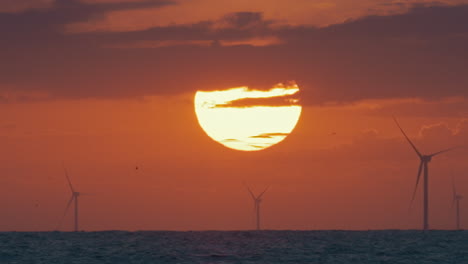 Captivating-sunset-scene:-golden-sun,-calm-sea,-wind-turbines,-red-sky
