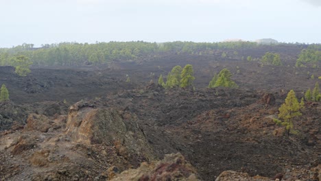 Devastated-landscape-of-Teide-volcano-with-magma-rocks,-pan-left