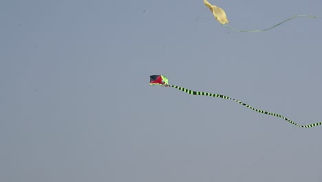 Many-kites-are-flying-high-in-the-sky-at-the-International-Cards-Festival,-the-kites-are-flying-and-swimming-in-the-air-with-their-long-wings-in-the-blue-color-sky
