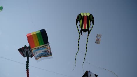 Many-decorative-kites-are-flying-high-in-the-sky-at-the-International-Kite-Festival,-a-black-cobra,-jelly-fish,-rocket-booster,-spider-and-dragon-shaped-kites-are-flying-high-in-the-sky
