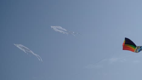 Zeitlupenszene-Mit-Vielen-Drachen,-Die-Hoch-In-Den-Himmel-Fliegen,-Beim-Internationalen-Drachenfestival-Auf-Blauem,-Himmlischem-Hintergrund