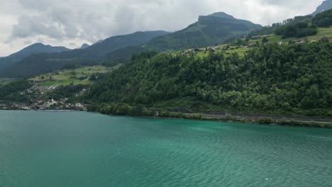 Luftaufnahme-Des-Grünen-Blätterdachs-Der-Vegetation-Am-Schweizer-Seeufer