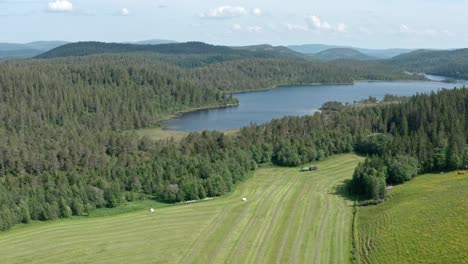 Combine-Harvester-Working-In-The-Field-With-Dense-Forest-And-Lake-In-Summer
