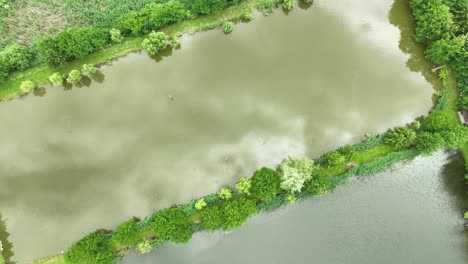 Aerial-Drone-Fly-Above-Fish-Farming-Pond-Lake,-Green-Water-Reflection,-Clouds,-Birds-Landscape-in-Slovenia,-Žovnek,-Braslovče