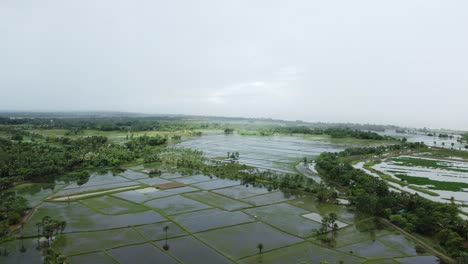 As-a-result-of-heavy-rains,-various-fields-of-West-Bengal-along-the-banks-of-the-Ganges-were-submerged