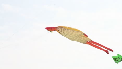 Among-the-many-kites-flying-at-the-International-Kite-Festival,-a-large-sized-kite-is-flying-high-in-the-sky