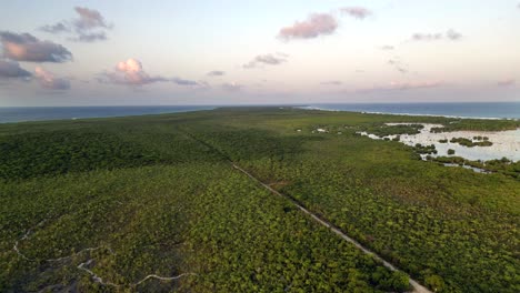 A-drone-flies-high-above-the-canopy-of-a-tropical-forest-and-straight-road-looking-out-over-an-island,-trees-and-fresh-water-lagoons-at-sunset-in-the-Cayman-Islands-in-the-Caribbean