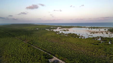Eine-Drohne-Fliegt-Hoch-über-Dem-Blätterdach-Eines-Tropischen-Waldes-Und-Dreht-Sich,-Um-Eine-Straße-Freizulegen,-Während-Sie-Bei-Sonnenuntergang-Auf-Den-Kaimaninseln-In-Der-Karibik-Auf-Eine-Insel,-Bäume-Und-Süßwasserlagunen-Blickt