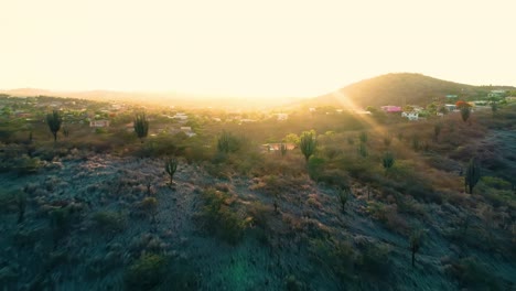 4k-cinematic-drone-reveal-of-houses-and-neighborhoods-on-the-Caribbean-island-of-Curacao,-during-golden-hour-sunset-with-flare,-passing-over-hill-with-trees,-foliage-and-cacti