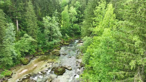 Meditative-Peaceful-Logar-Valley-Green-Forest-River-with-Stones-Aerial-Landscape-Natural-Environment-in-Slovenia
