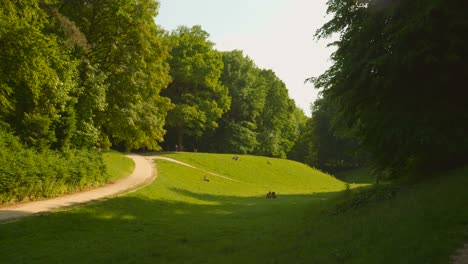 Magnificent-landscape-of-Bois-de-la-Cambre-in-summer