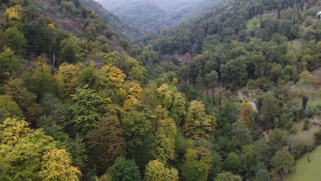 Luftaufnahme-Des-Waldtals:-Tiefgrünes-Tal-Im-Aserbaidschanischen-Talysh-Gebirge