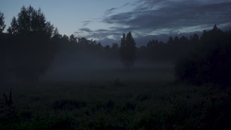 Noche-Nublada-Naturaleza-En-Verano-Verde-Paisaje-Escénico