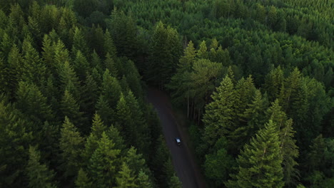 Aerial-view-following-a-car-on-a-forest-road-in-in-Washington,-Northwest-USA