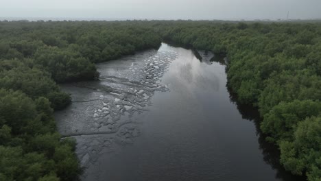 Aerial-View-Of-Lush-Mangrove-Forest-With-River-In-Karachi