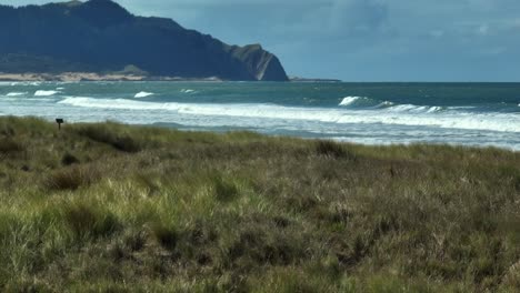 Oceans-beach-natural-wild-New-Zealand-coastline,-couple-walking-on-shore