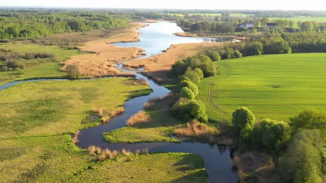 Curved-river-and-overgrown-pond-on-golden-hour,-aerial-view