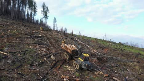 Timber-Transport:-Drone-Footage-of-Logging-on-Steep-Slope