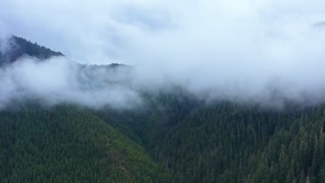 Landscape-aerial-moving-into-foggy-valley-in-rugged-evergreen-forest