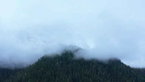 Moody-foggy-PNW-mountain-landscape-with-dense-evergreen-forest