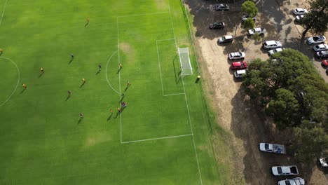 Aerial-top-down-shot-of-team-scoring-goal-and-celebrating-during-amateur-soccer-game-in-sunlight