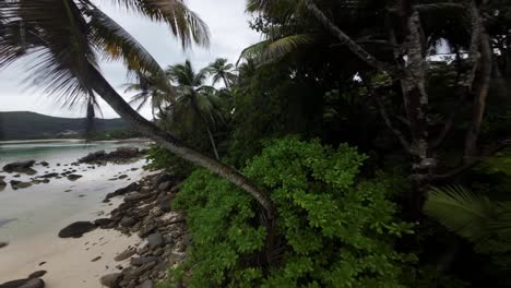 FPV-Drohne-Fliegt-An-Einem-Wunderschönen-Strand-Der-Seychellen-Auf-Der-Insel-Mahe,-Video-Von-Unglaublichen-Bäumen,-Den-Felsen-Der-Seychellen,-Dem-Meer-Und-Den-Umliegenden-Landschaften-Der-Seychellen