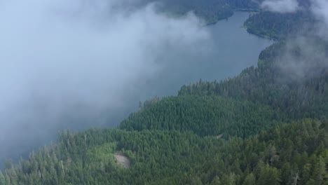 Aerial-flying-into-cloud-over-rugged-evergreen-forest-with-lake-in-distance