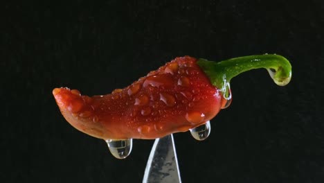 Wet-Spicy-Pepper-on-Knife,-Mist-of-Water-to-Wash-Ingredient-Hot-Food