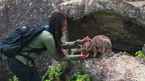 Ein-Australisches-Aborigine-Mädchen-Füttert-Ein-Mareeba-Felsenwallaby-Mit-Der-Hand