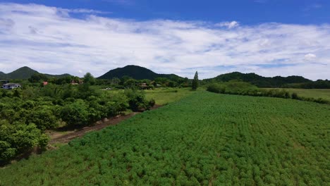 Fesselnde-Luftaufnahmen-Der-Wunderschönen-Grünen-Landschaft-Von-Khao-Yai