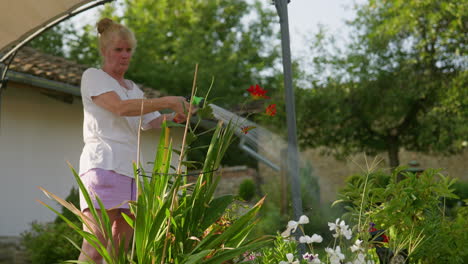Low-angle-of-woman-spray-watering-patio-flowers-on-warm-summer-morning