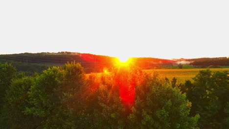 Atemberaubende-4K-Drohnenaufnahmen-Eines-Wunderschönen-Sonnenuntergangs-über-Einem-Großen-Goldenen-Sonnenblumenfeld-Auf-Dem-Land