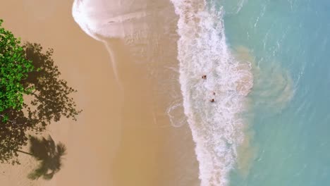 Family-enjoys-a-bath-and-swims-in-tropical-ocean-beach,-aerial-top-down-view