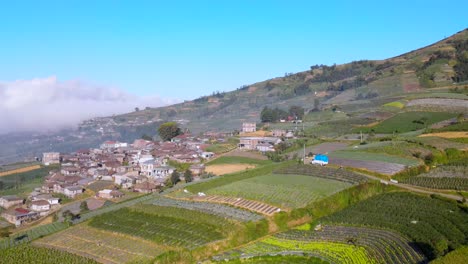 Aerial-flyover-agricultural-landscape-with-farm-fields-and-driving-truck-on-slope-of-mountain-during-sunny-day---Asian-Village-located-on-hill-in-countryside---Establishing-drone-shot