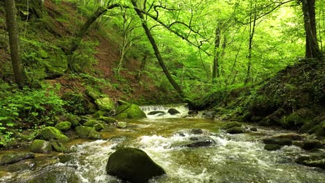 Der-Fluss-Fließt-In-Einer-Grünen,-Friedlichen-Waldlandschaft.-Luftdrohne-In-Der-Nähe-Des-Wassers-In-Bistrica,-Slowenien,-Meditative-Natürliche-Atmosphäre