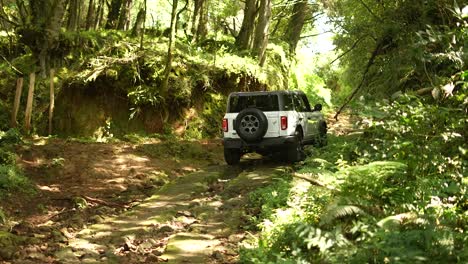 Ford-Bronco-Auf-Schotter-Im-Wald-Fahren,-Abseits-Der-Straße