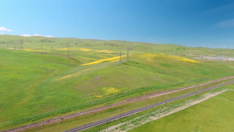 An-abundance-of-spring-rain-results-in-wildflowers-in-California's-grasslands---aerial