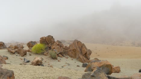 Volcanic-soil-covered-with-rocks,-sparse-vegetation-and-thick-fog