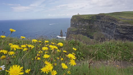 Cliffs-of-Moher-with-Flowers-in-Foreground