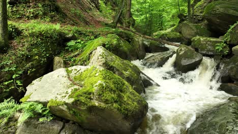 River-Stream-Flows-into-Molded-Stones-at-Bistrica-Green-Forest-Slovenia-Natural-Countryside,-Slow-Motion-Shot