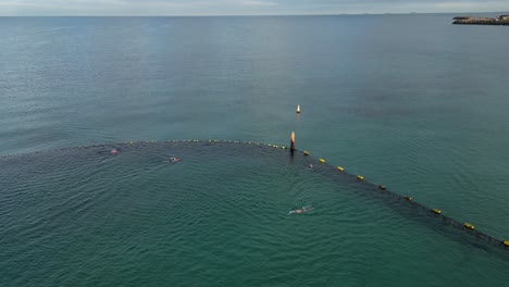 Menschen-Schwimmen-Im-Hai-Schutzgebiet-Am-Coogee-Beach,-Perth-City-Im-Westen-Australiens