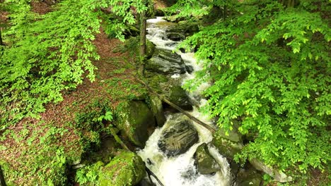 River-Flows-into-Meditative-Zen-Forest-around-Stones-and-Greenery-at-Bistrica-Slovenia-Natural-Landscape