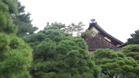 The-roof-of-the-imperial-palace-of-kyoto---viewed-from-the-yard-and-across-the-pine-trees