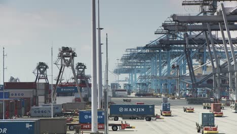 Teleaufnahme-Des-Geschäftigen-Rotterdamer-Hafens-Mit-Selbstfahrenden-Lastkraftwagen-Und-Kränen