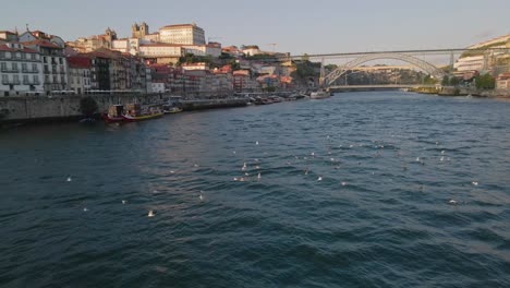Aerial-view:-Douro-River,-Dom-Luis-Bridge-with-seagulls-at-dusk