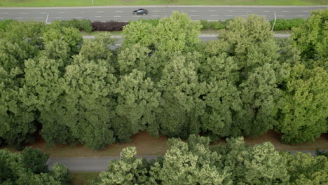 Aerial-top-down-shot-showing-traffic-on-highway-beside-trees-avenue-with-path-during-daytime---Poland,Warsaw