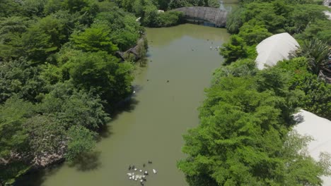 aerial-view-of-Zhujiang-Park-Guangzhou-with-Pearl-River-drone-fly-above-green-natural-reserve-in-China,-Nansha-Waterfowl-World-Ecological-Park